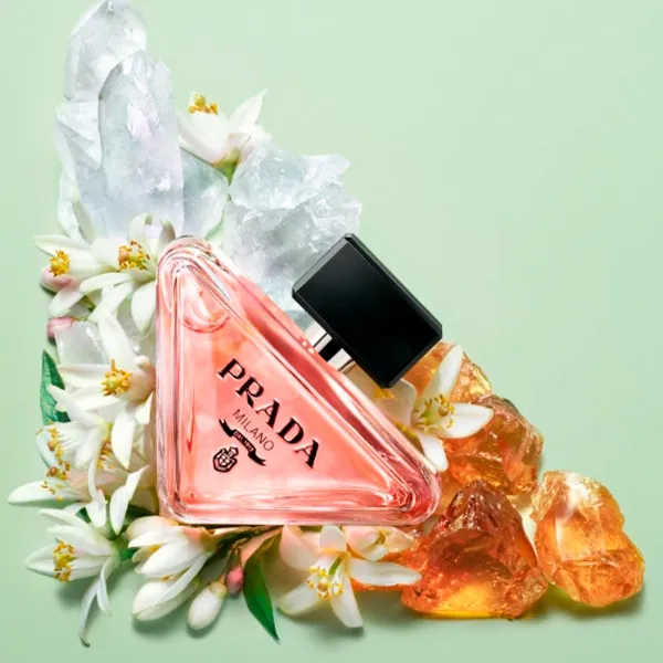 Colonia Yves Saint Laurent